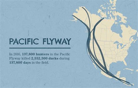 Now trusted by over 200,000+ PRO subscribers and over 500,000 new visitors visiting our website each month. . California flyway forum